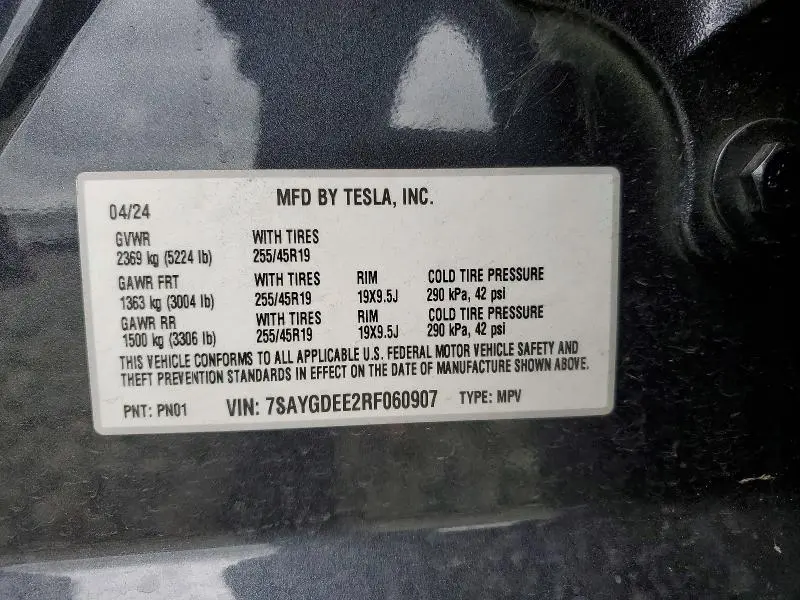 2024 TESLA MODEL Y   