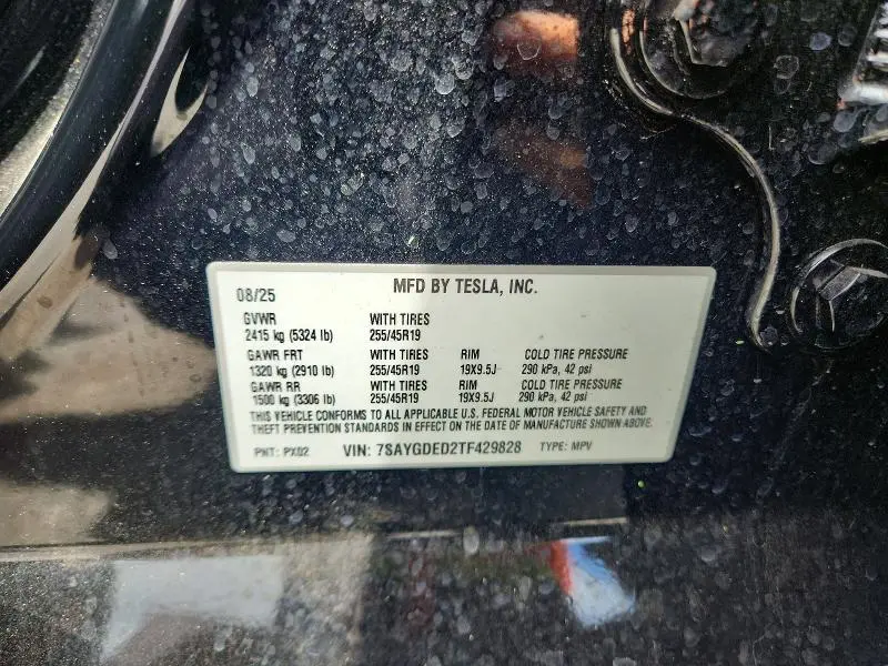 2026 TESLA MODEL Y   