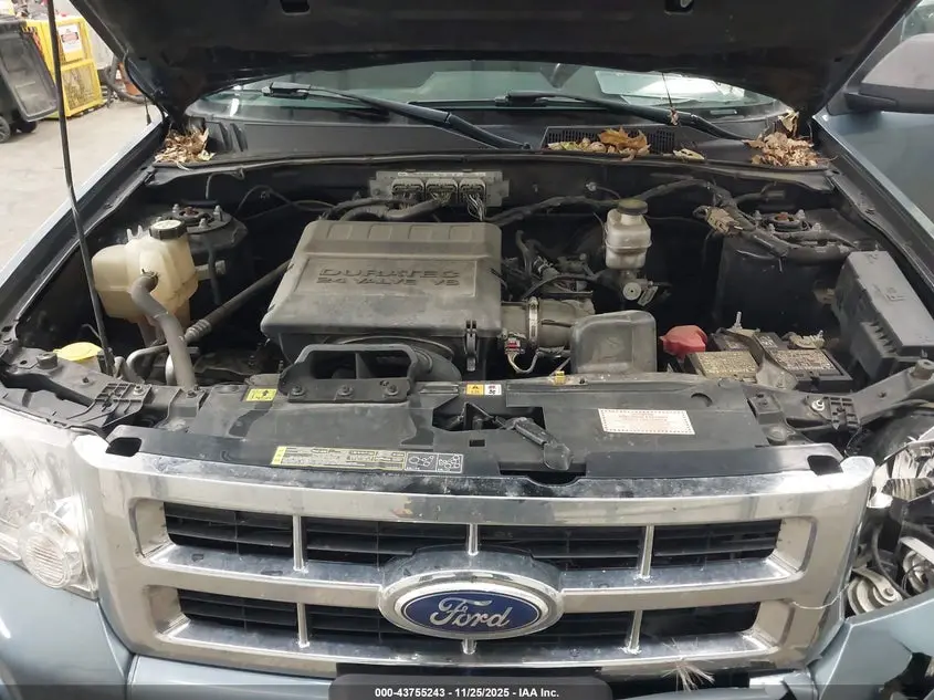 2011 FORD ESCAPE XLT