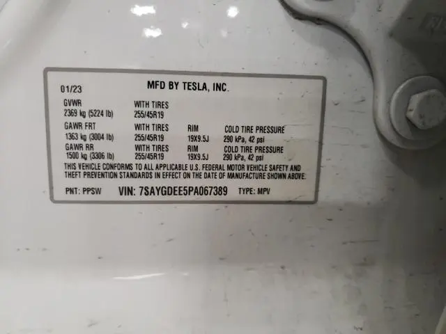 2023 TESLA MODEL Y 