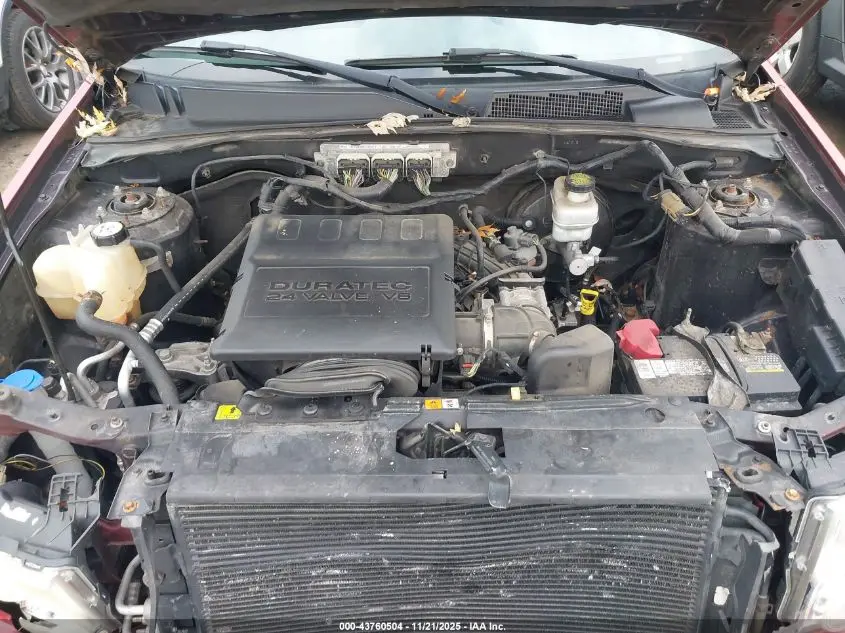 2012 FORD ESCAPE XLT