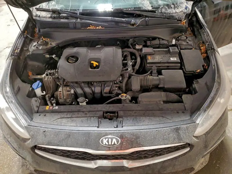 2019 KIA FORTE EX  
