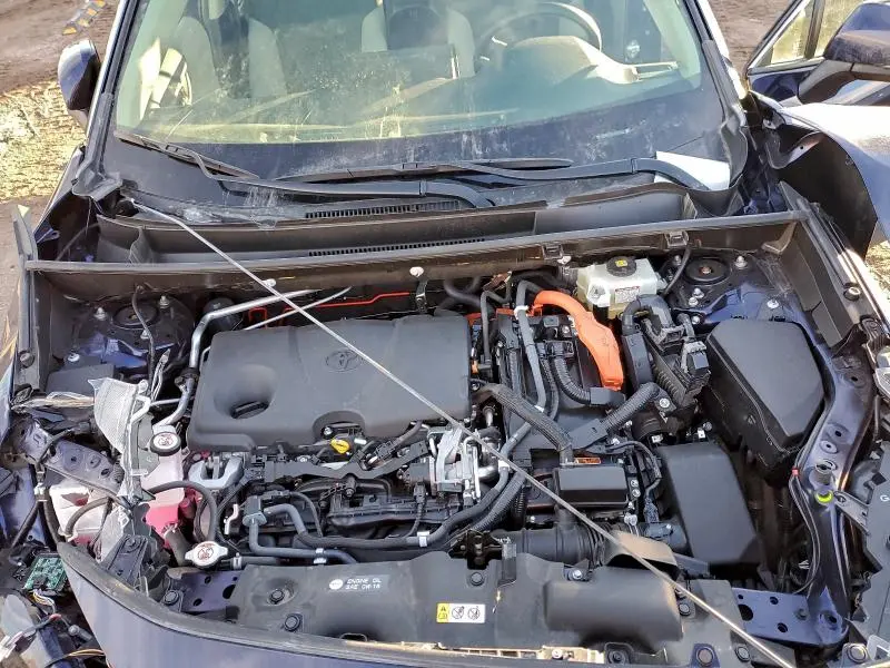 2020 TOYOTA RAV4 XLE  