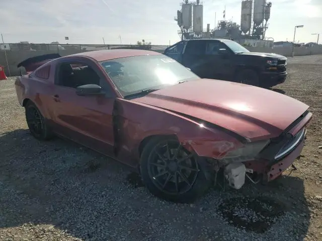2014 FORD MUSTANG   