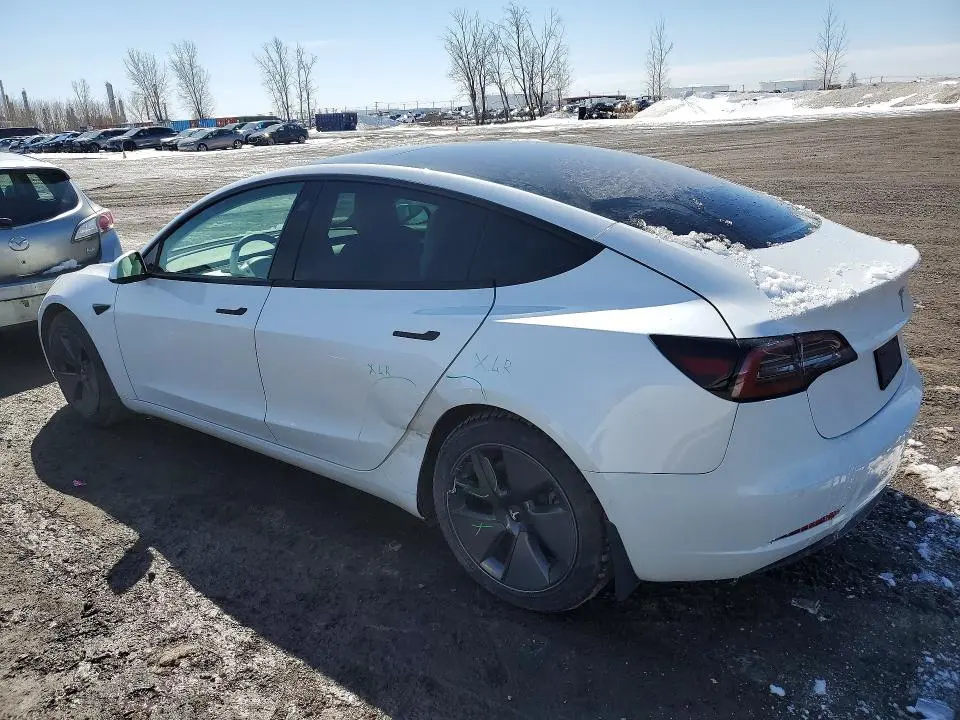2021 TESLA MODEL 3   