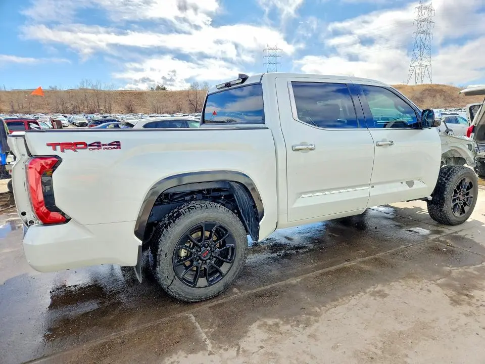 2022 TOYOTA TUNDRA 1794 EDITION  