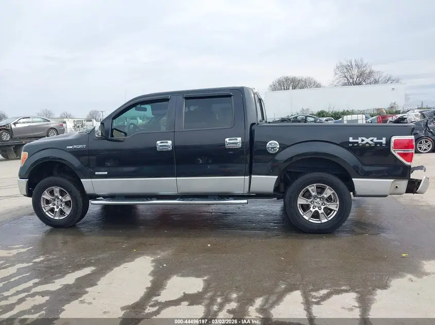 2013 FORD F-150 XLT