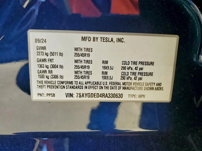 2024 TESLA MODEL Y   