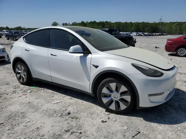 2020 TESLA MODEL Y 