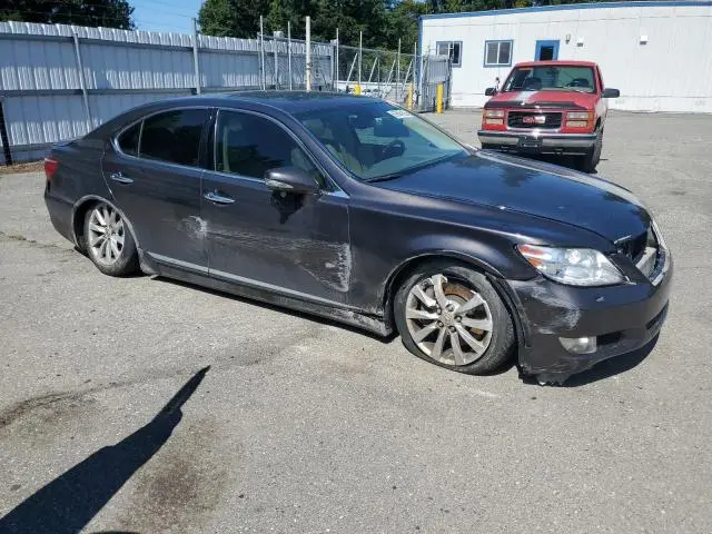 2010 LEXUS LS 460  