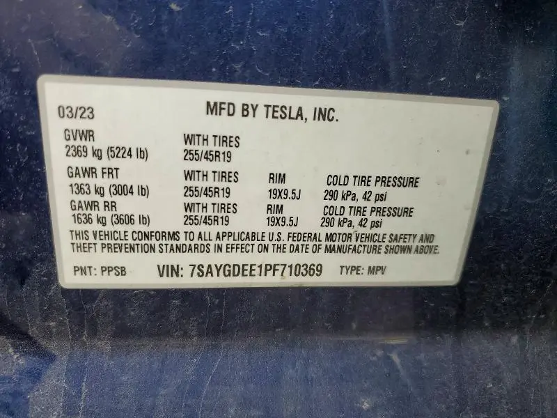 2023 TESLA MODEL Y   