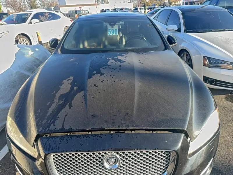 2013 JAGUAR XJL PORTFOLIO  