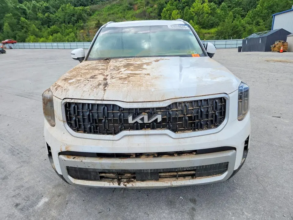 2025 KIA TELLURIDE EX  