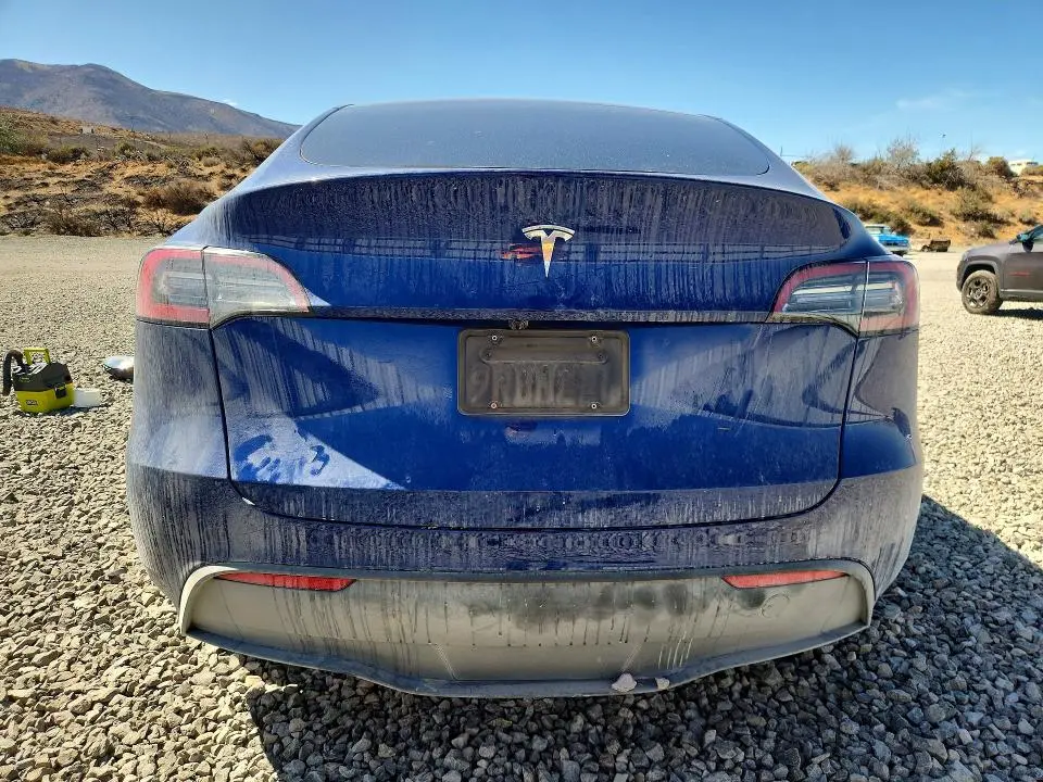 2025 TESLA MODEL Y   