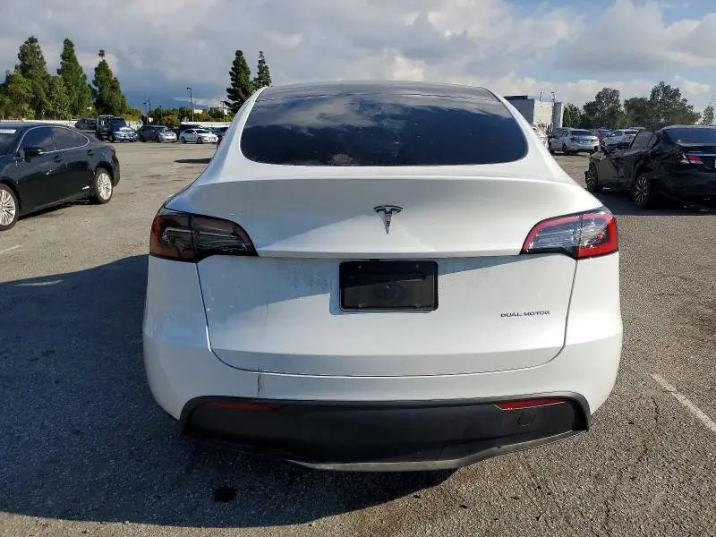 2024 TESLA MODEL Y   
