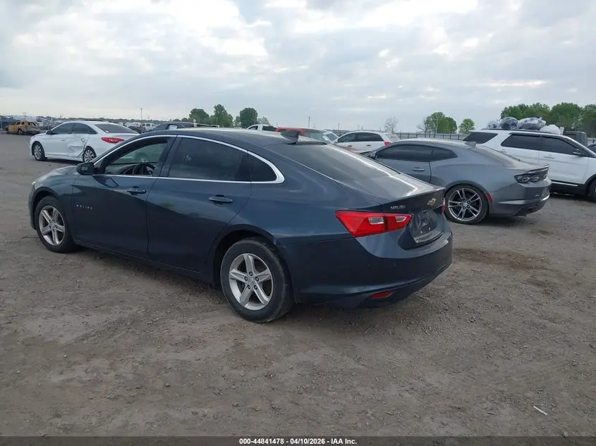 2019 CHEVROLET MALIBU 1FL