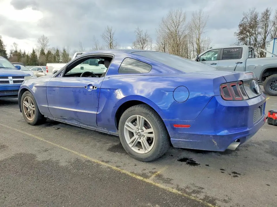 2014 FORD MUSTANG   