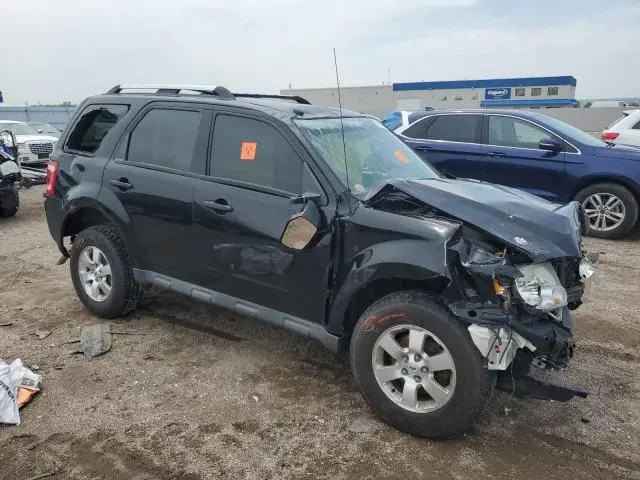 2010 FORD ESCAPE LIMITED  