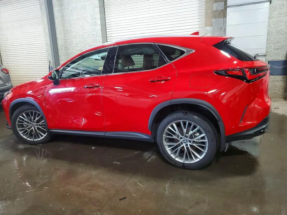 2024 LEXUS NX 350 LUXURY  