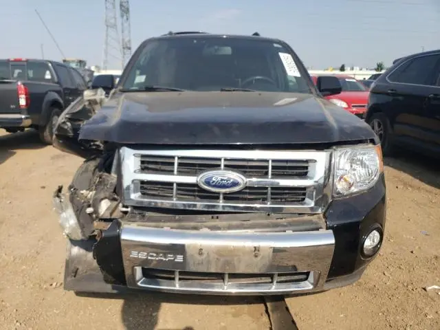2010 FORD ESCAPE LIMITED  