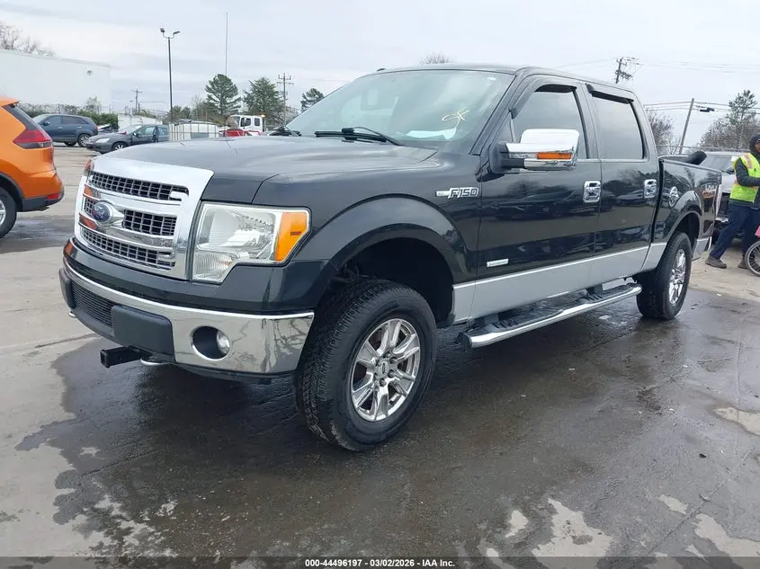 2013 FORD F-150 XLT