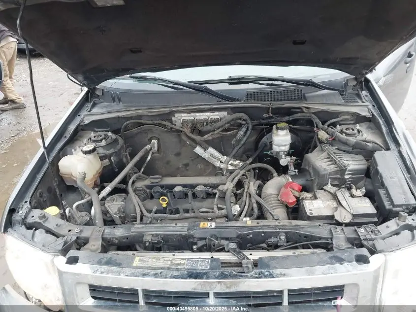 2011 FORD ESCAPE XLT