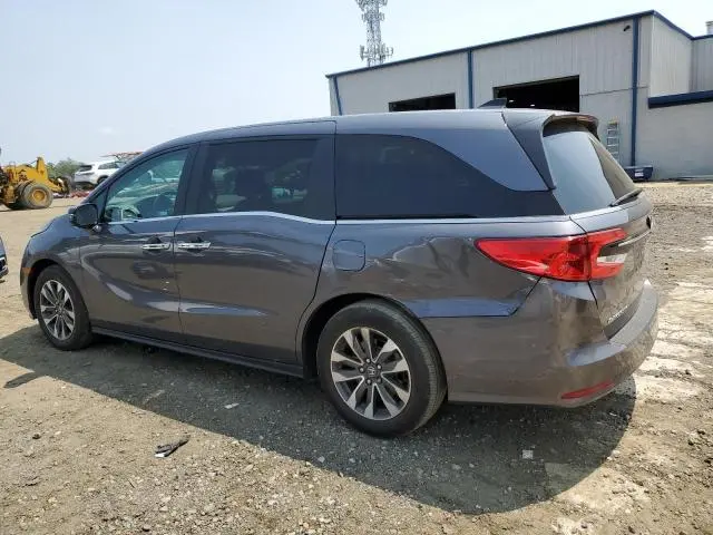 2023 HONDA ODYSSEY EXL  