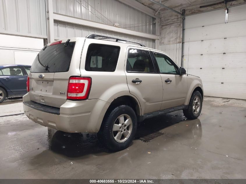 2010 FORD ESCAPE XLT