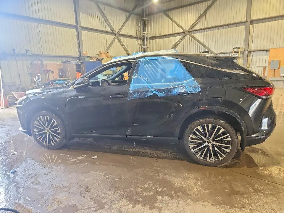 2025 LEXUS RX 350  