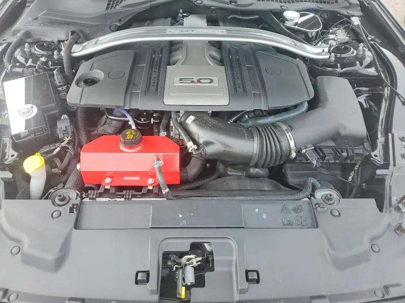 2019 FORD MUSTANG GT  