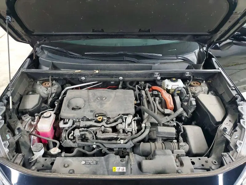 2019 TOYOTA RAV4 XLE  