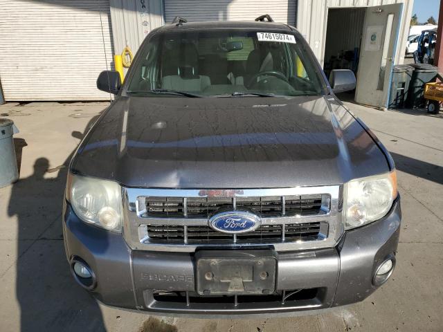 2011 FORD ESCAPE XLT