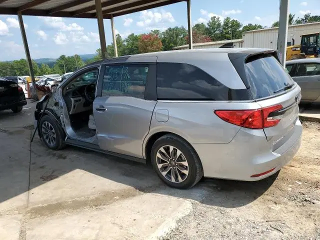 2024 HONDA ODYSSEY EXL  