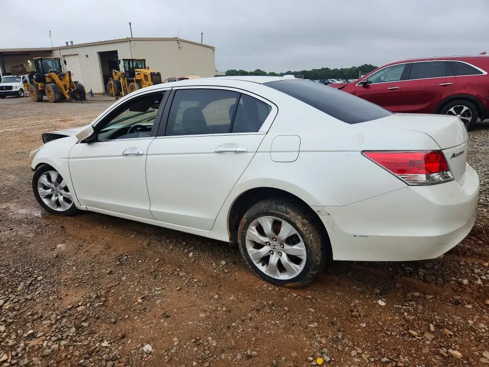 2010 HONDA ACCORD EXL  