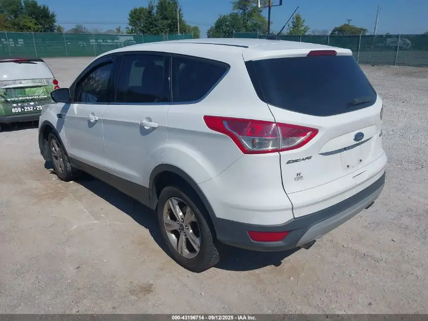 2014 FORD ESCAPE SE