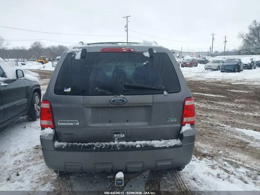2010 FORD ESCAPE XLT
