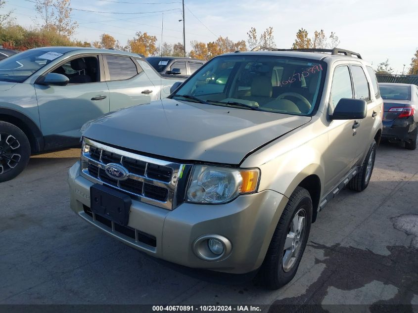 2010 FORD ESCAPE XLT