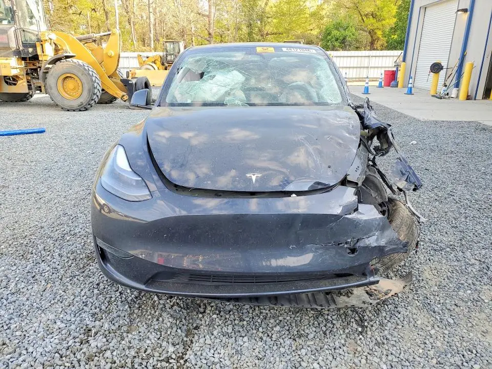 2025 TESLA MODEL Y   