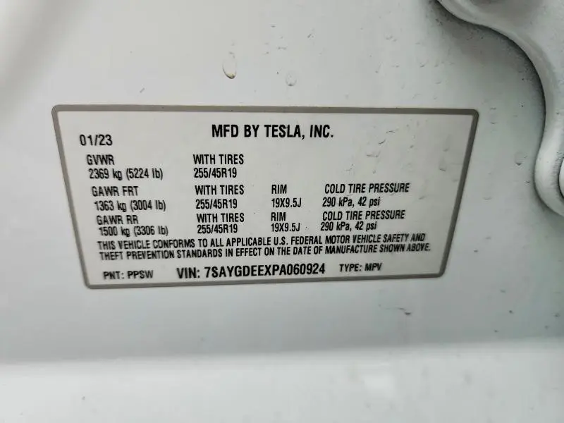 2023 TESLA MODEL Y   