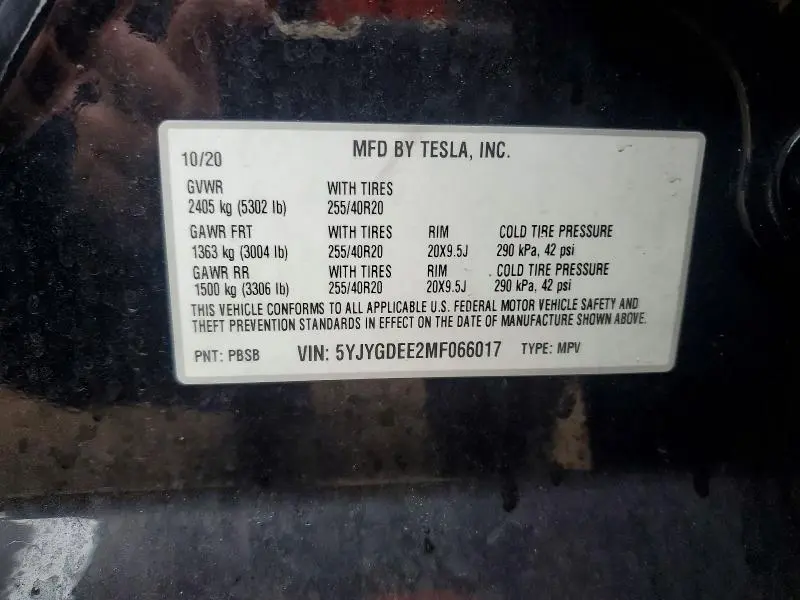 2021 TESLA MODEL Y   