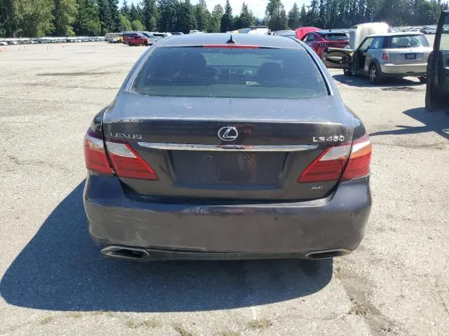 2010 LEXUS LS 460  