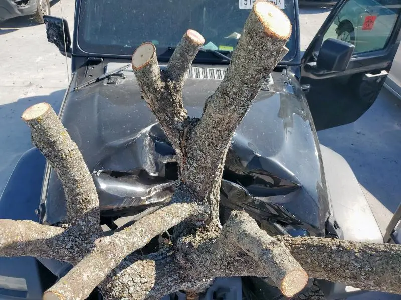 2020 JEEP WRANGLER SPORT  