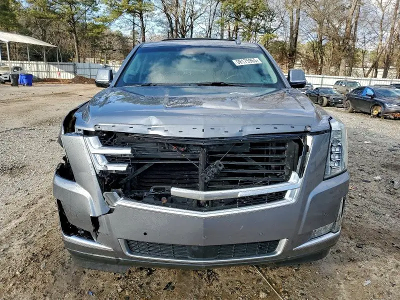 2019 CADILLAC ESCALADE ESV PREMIUM LUXURY  