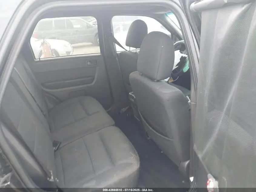 2010 FORD ESCAPE XLT