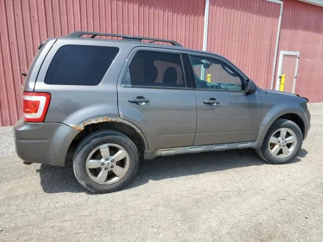 2011 FORD ESCAPE XLT  
