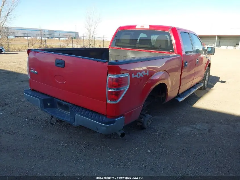 2010 FORD F-150 FX4/HARLEY-DAVIDSON/KING RANCH/LARIAT/PLATINUM/XL/XLT