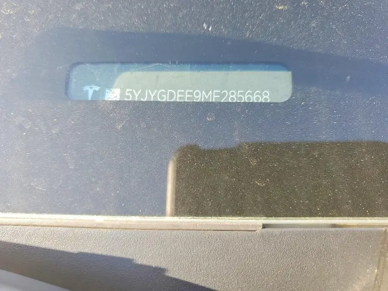 2021 TESLA MODEL Y   