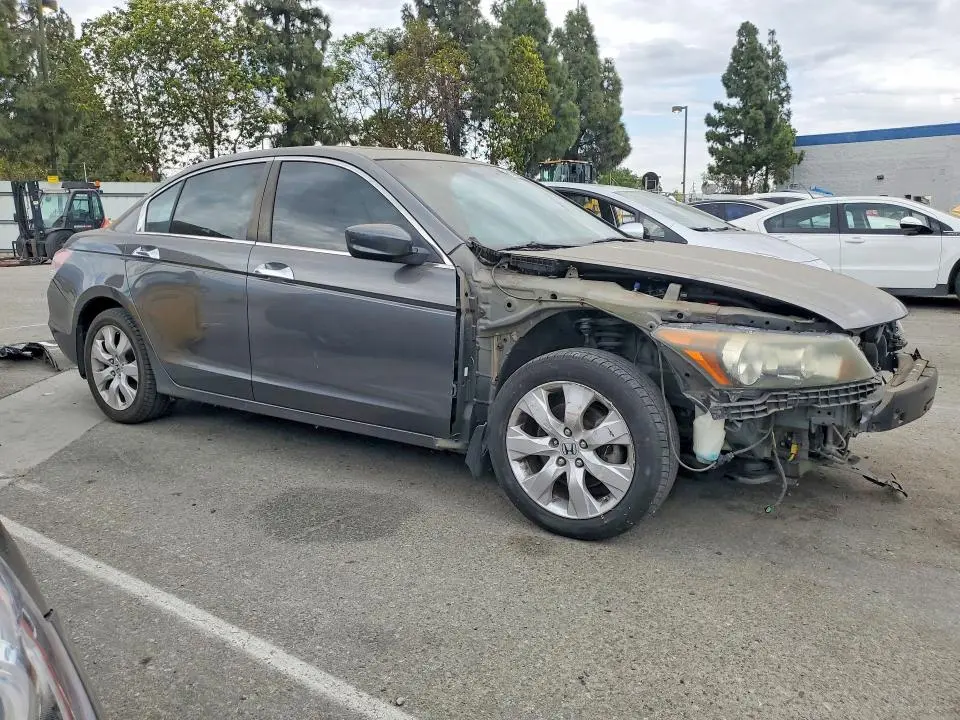 2010 HONDA ACCORD EXL  