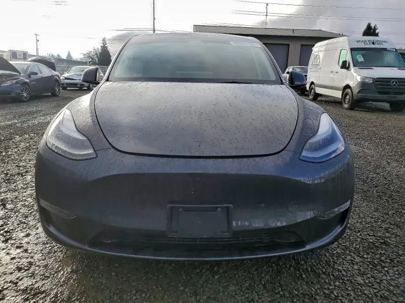 2025 TESLA MODEL Y   