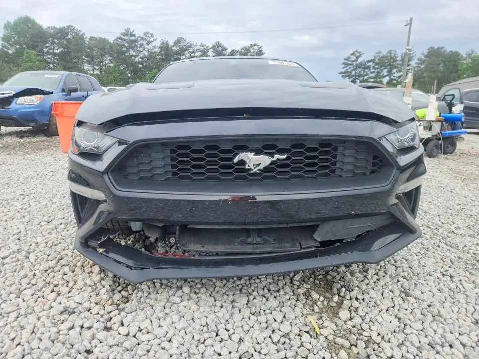 2019 FORD MUSTANG   